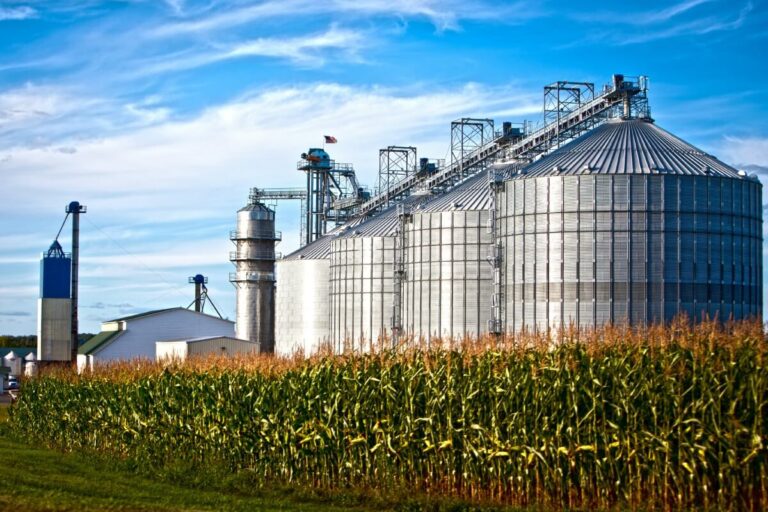 Curso Armazenamento de Produtos Agropecuários