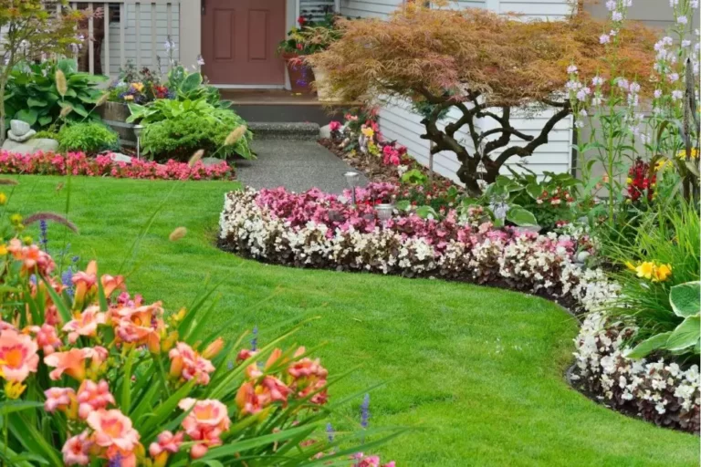 Curso Jardinagem e Paisagismo