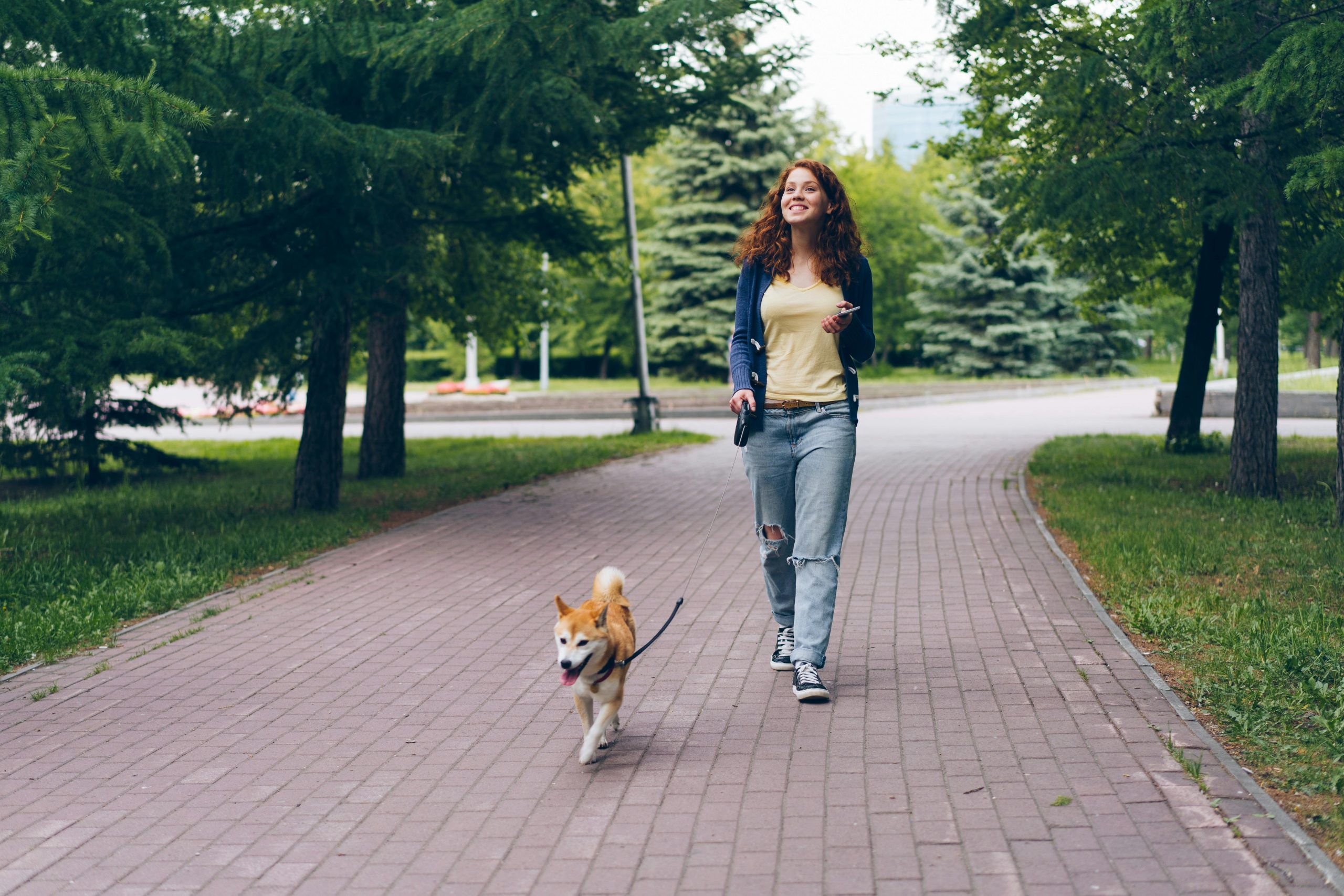 Dog Walker