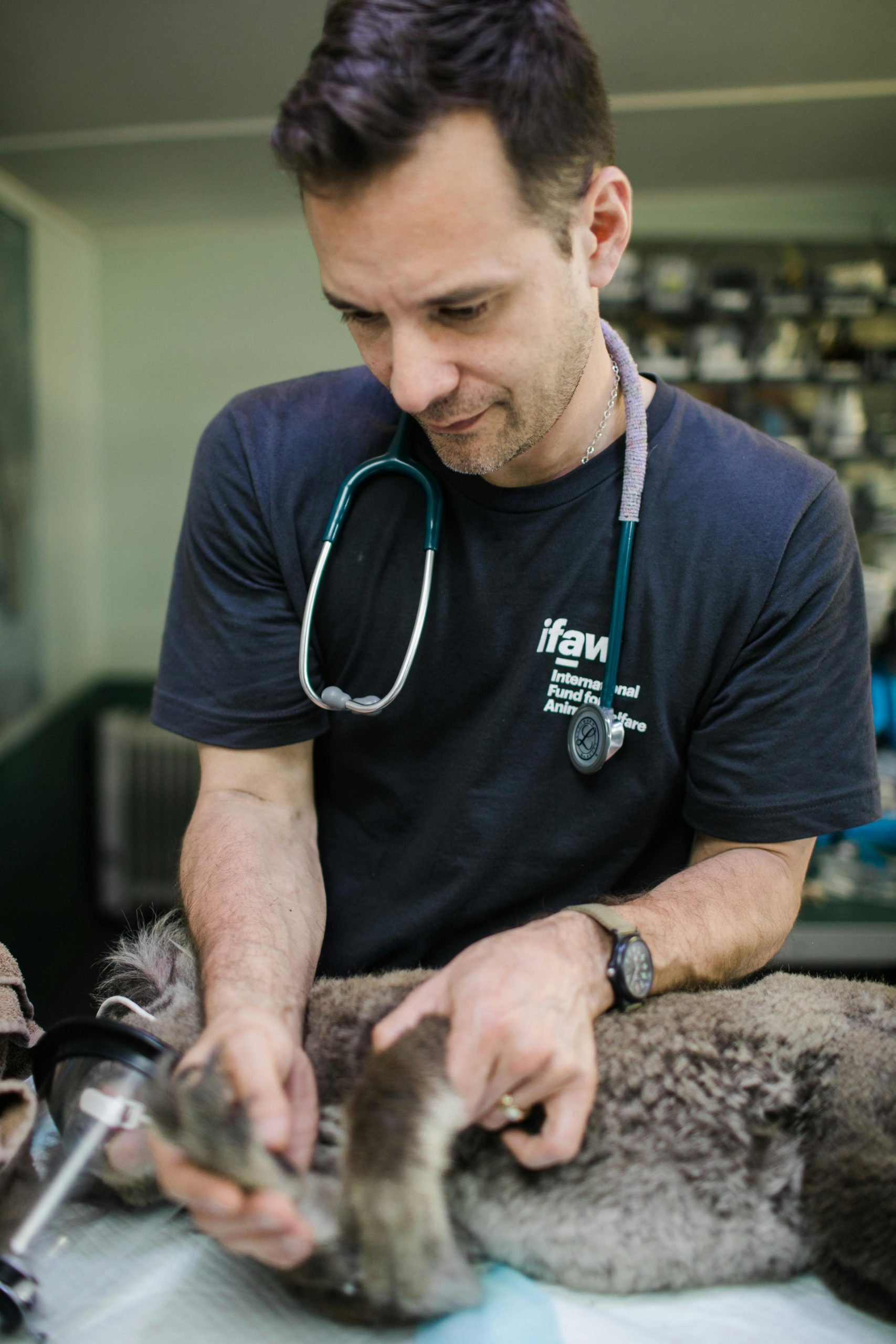 Urgência e Emergência Veterinária